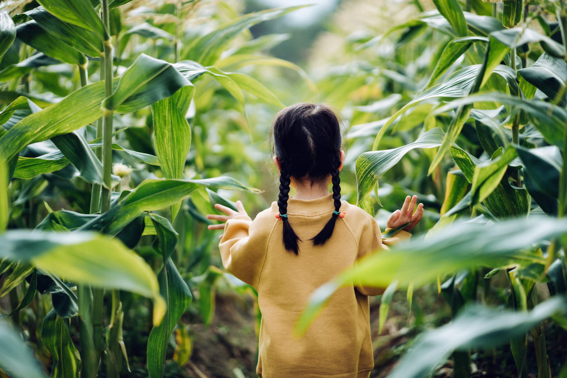 Girl walking in field